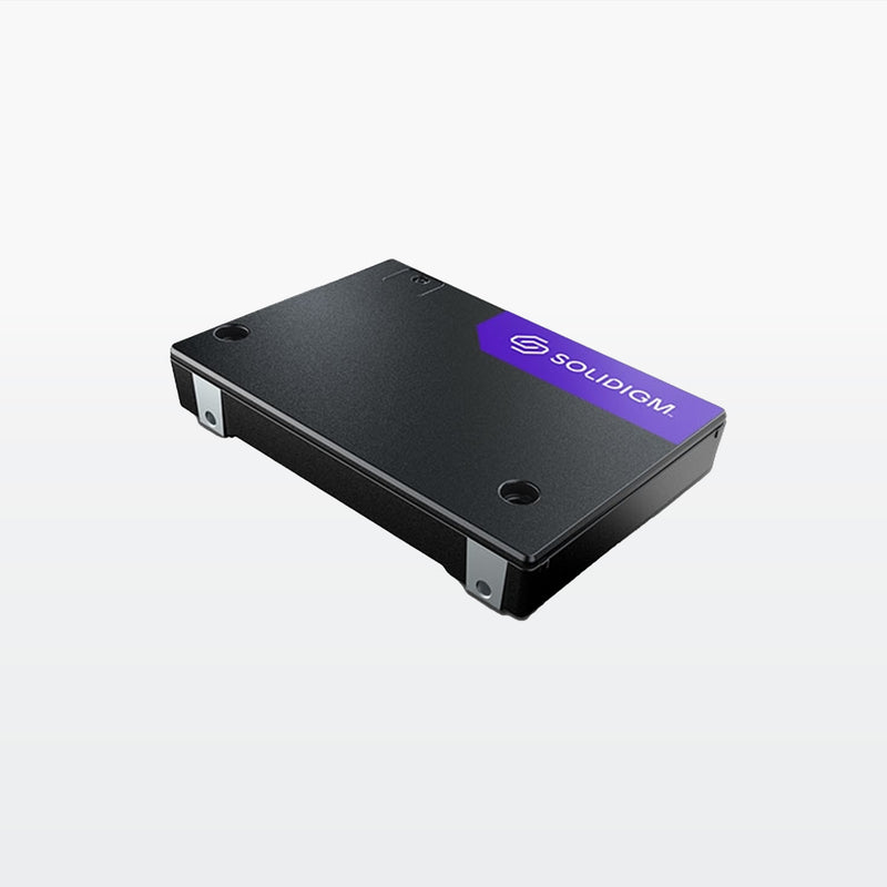Solidigm D7-PS1010 Series